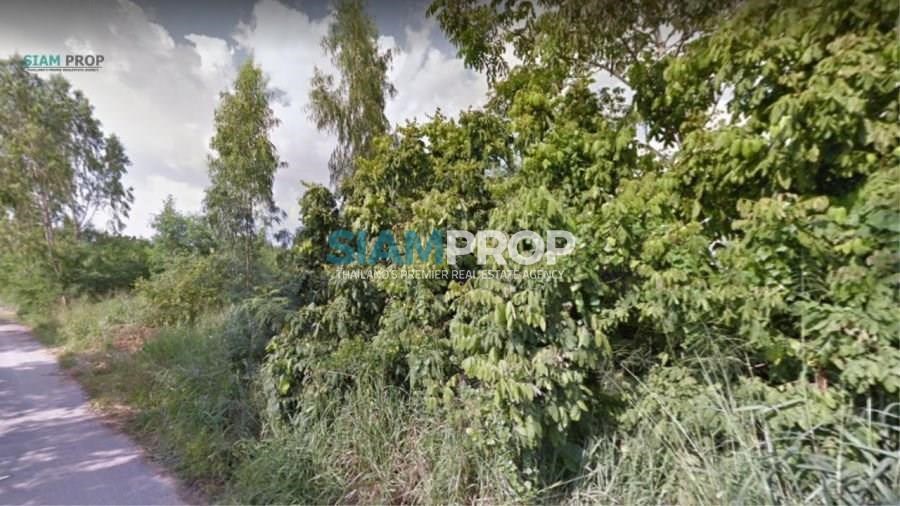 Land for sale, suitable for growing a house in Chonburi. Interested in saying it!!! - Land -  - Chonburi
