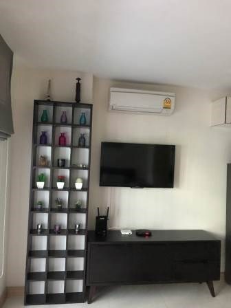 1 bedroom condo for rent at Tree Condo Sukhumvit 42 - Condominium - Phra Khanong - Ekkamai