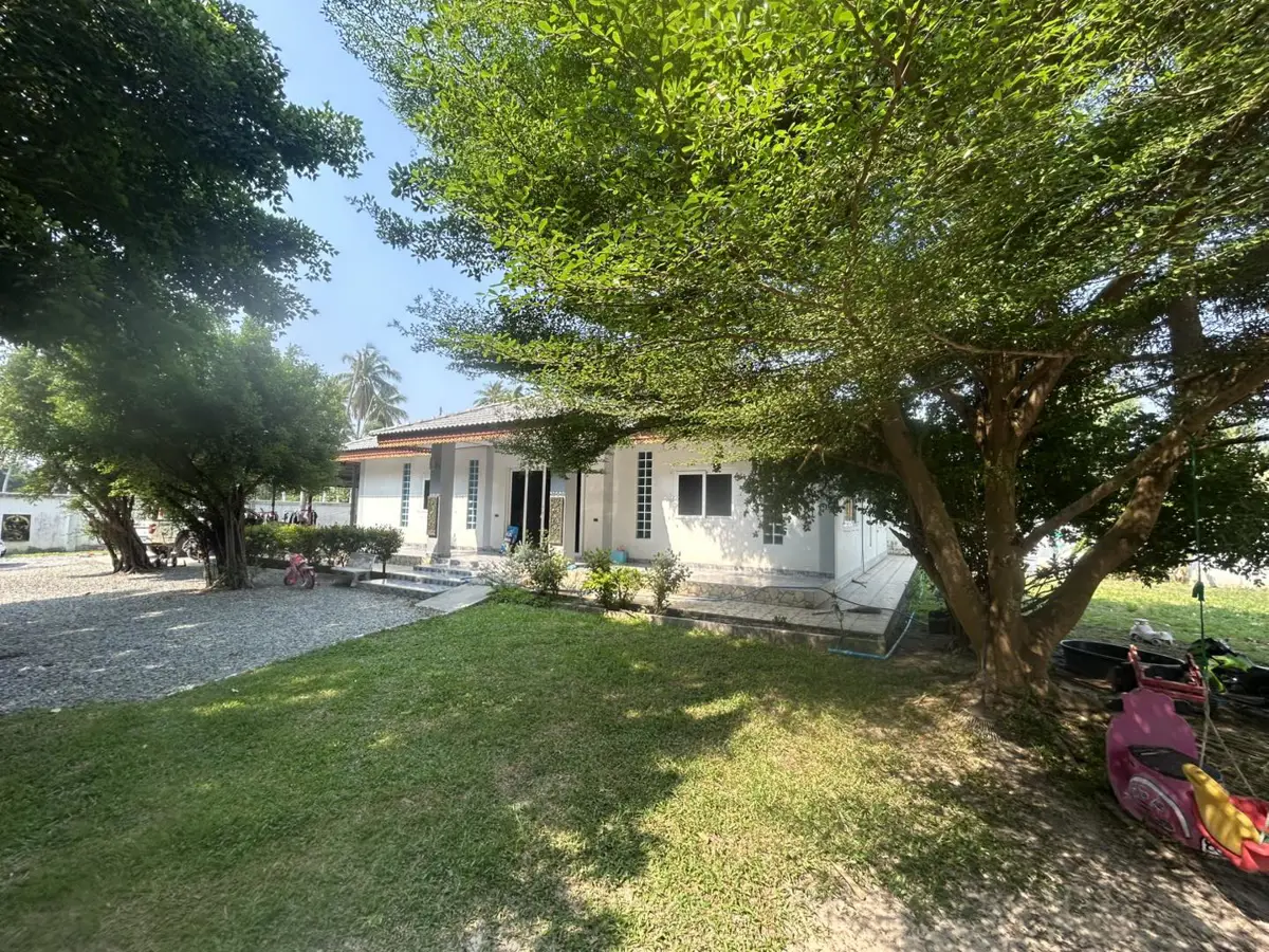 House on 1 Rai of Land for Sale - บ้าน -  - 