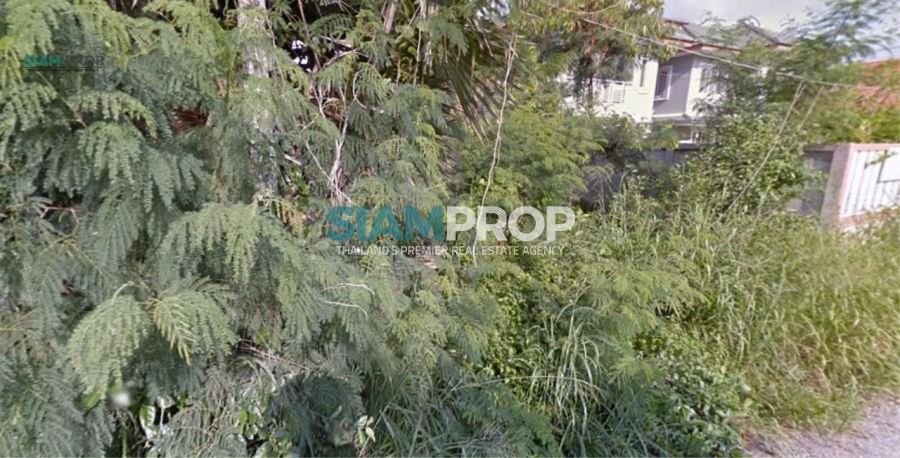 Land for sale, suitable for building a house in Chonburi. Interested in saying it!!! - ที่ดิน -  - Mueang Pattaya District, Chonburi Province