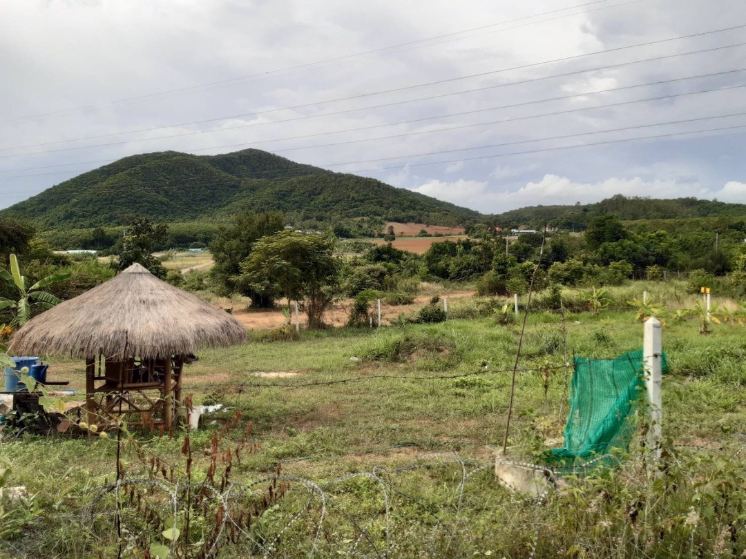 390 TW in Plutaluang area of Sattahip on the hill. - Land - Sattahip - Plutaluang