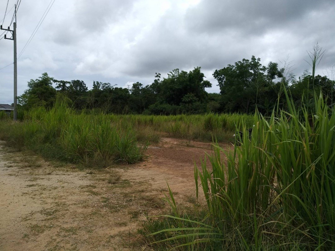 1 Rai in Sattahip on the hill for sale. - Land - Sattahip - 