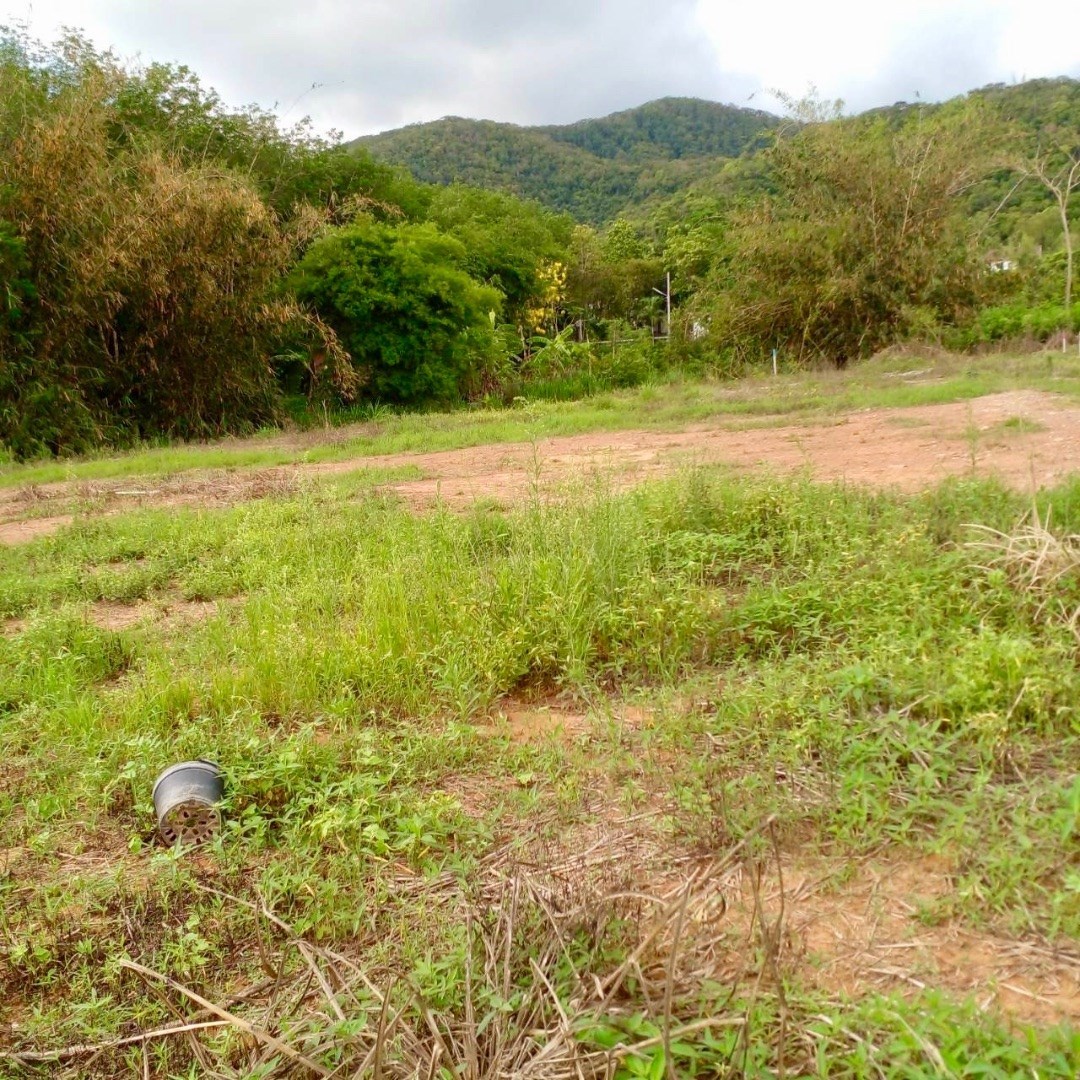 399.7 Sqw. in Yek Jea Sattahip - Land - Sattahip - Yek Jea