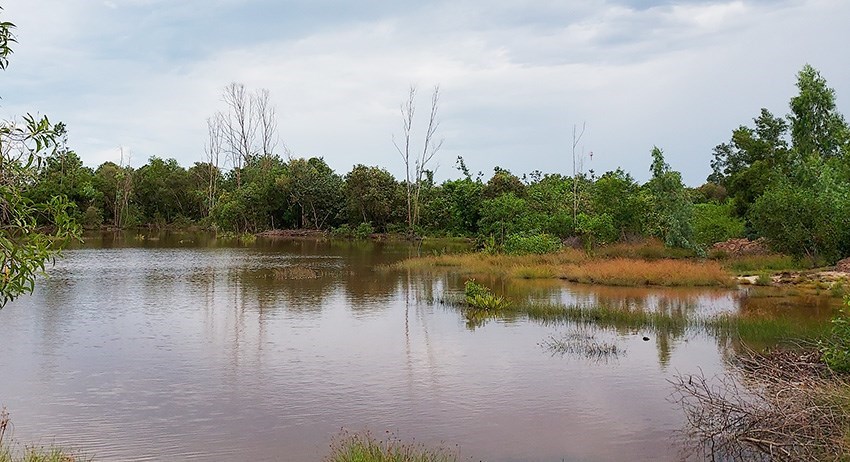 12 Rai land about 1500 meters from the beach in Mae Phim - Land - Mae Phim - Mae Phim, Kram, Rayong