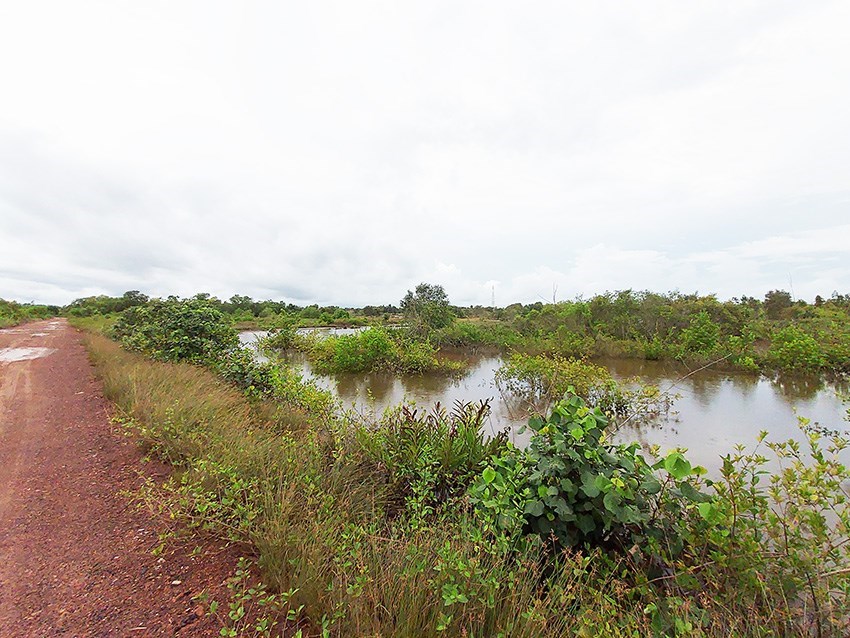 v - ที่ดิน - Mae Phim - Mae Phim, Kram, Rayong