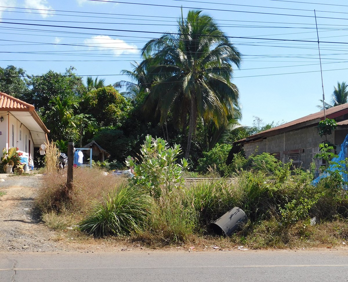 Land opposite Nam Yuen Subdistrict Municipality, Ubon Ratchathani  - Land -  - 