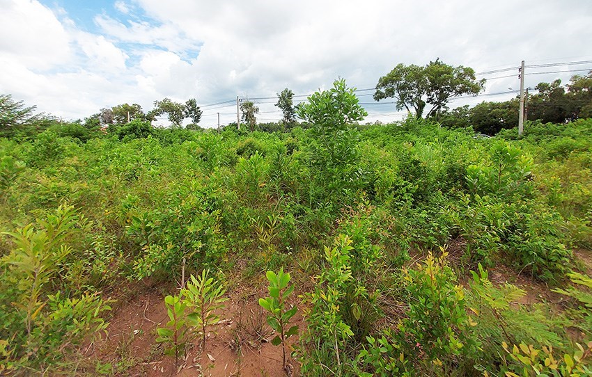 ที่ดิน 4 ไร่ ติดถนน 3145 ใกล้ที่ว่าการเทศบาลเมืองแม่พิมพ์ - ที่ดิน - Mae Phim - Mae Phim, Kram, Rayong