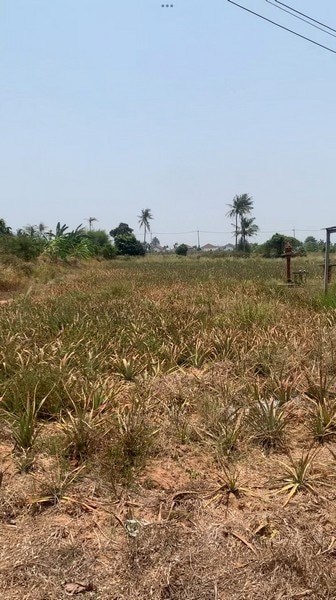 Good Location Land, 10 Minutes to Hua Hin - Land - Nong Kae - Khao Tao