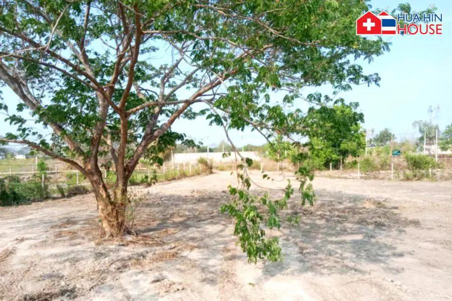 Excellent Location Land – Hua Hin - Land -  - 