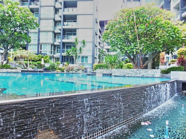 Condominium for sale Central Pattaya  - คอนโด - Pattaya - Central Pattaya