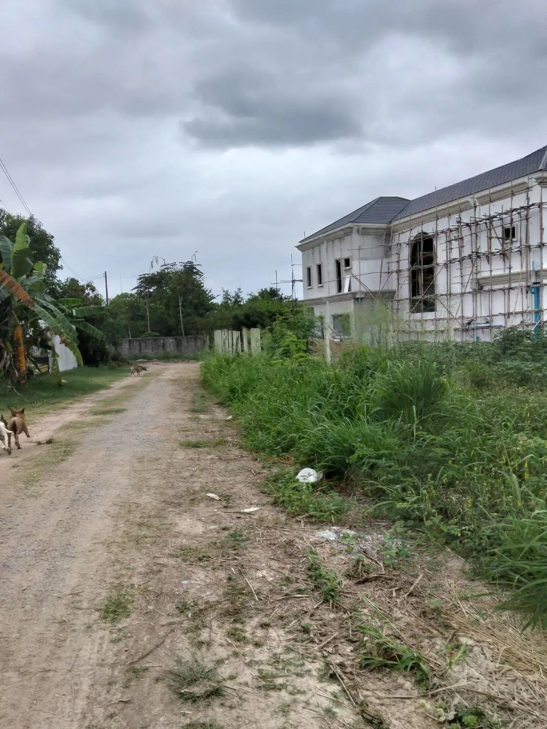Land 172 square wah, Huai Yai for sale - Land -  - 