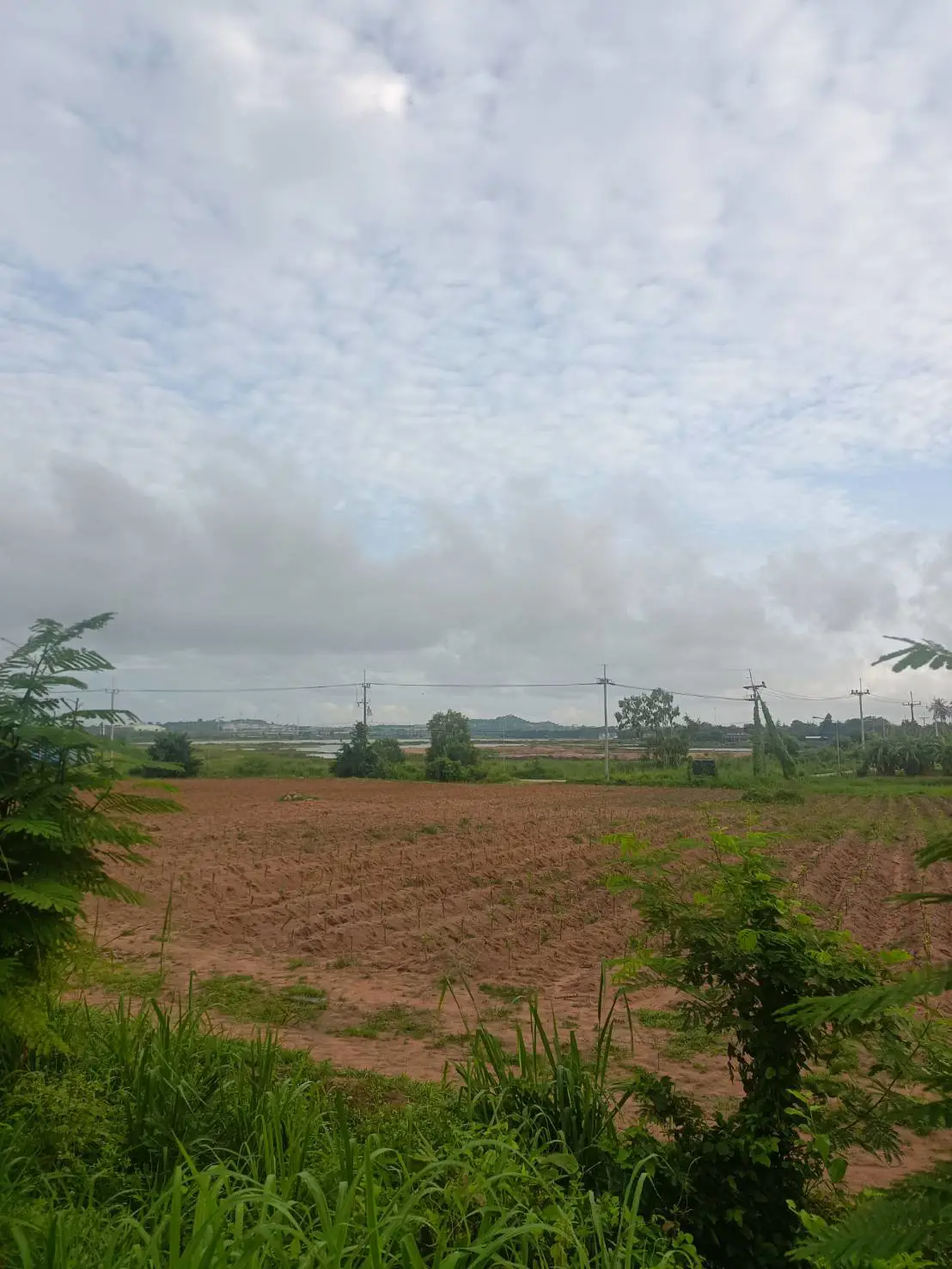 Land near Chak Nok Reservoir- Huai Yai Subdistrict  For Sale - Land -  - 