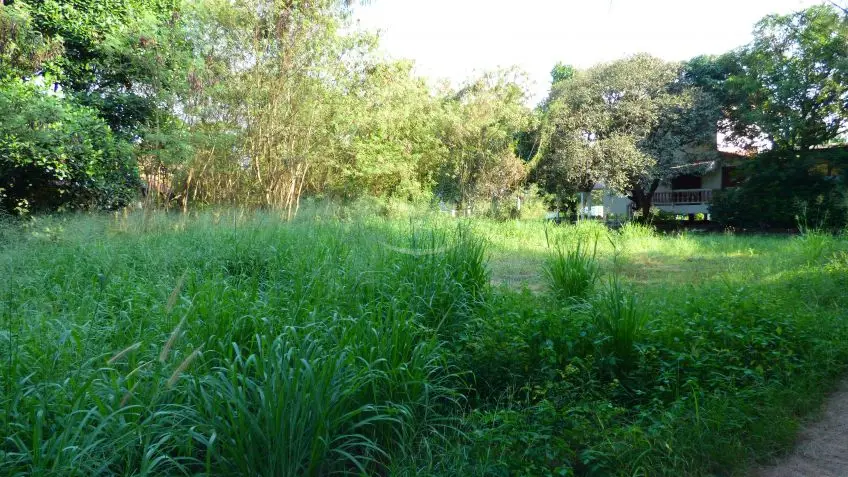 Land for Sale in Jomtien - Not set -  - 