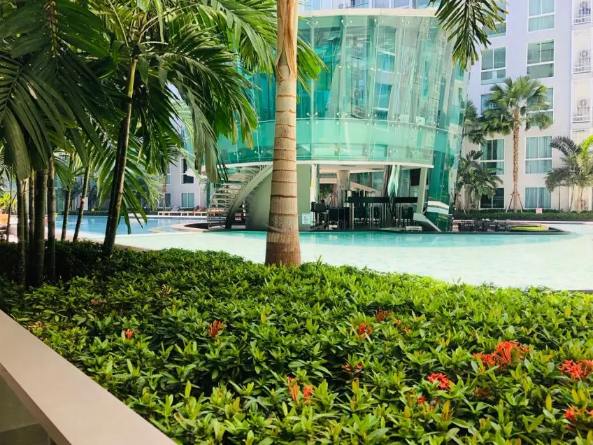 City Center Residence for Rent in Central Pattaya - Condominium -  - 